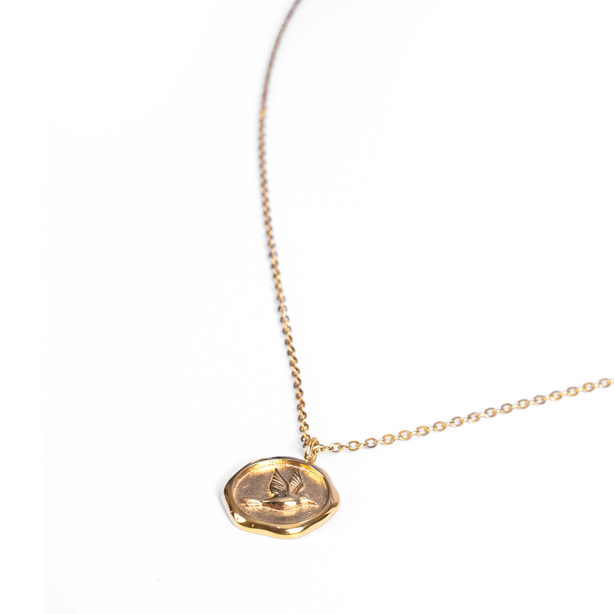 Knots of Freedom Coin Necklace