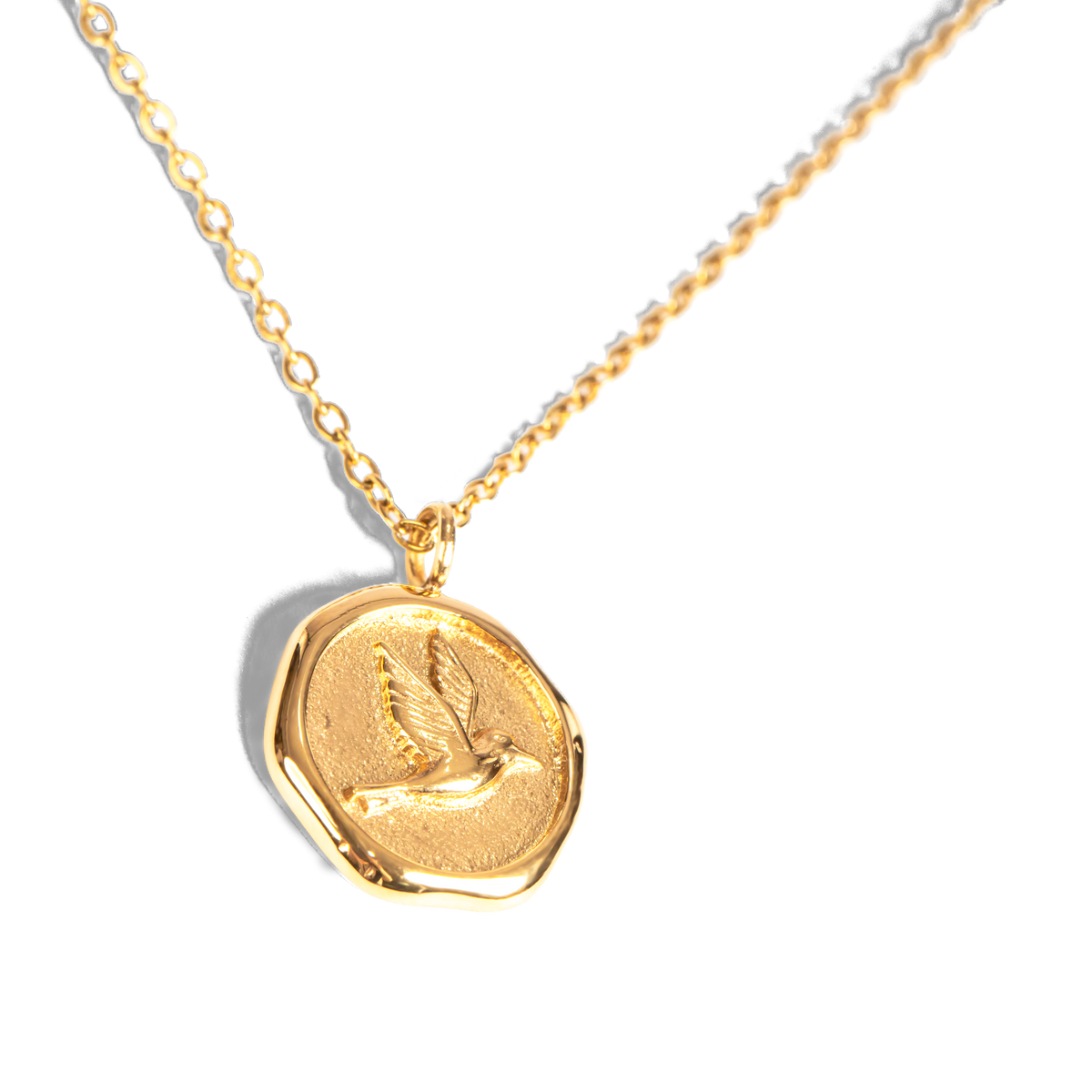 Knots of Freedom Coin Necklace